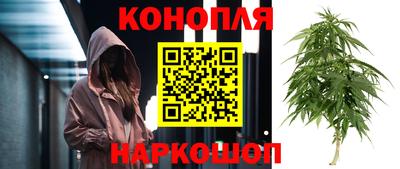 гашик Обь