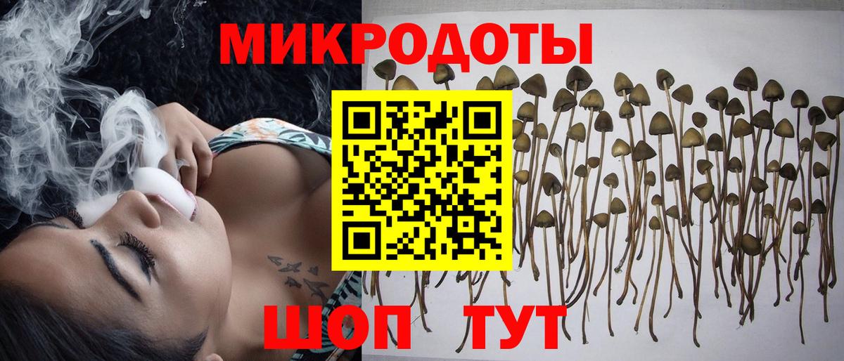 Галлюциногенные грибы Psilocybine cubensis Первоуральск